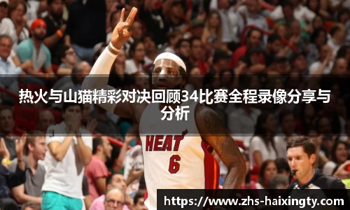 热火与山猫精彩对决回顾34比赛全程录像分享与分析